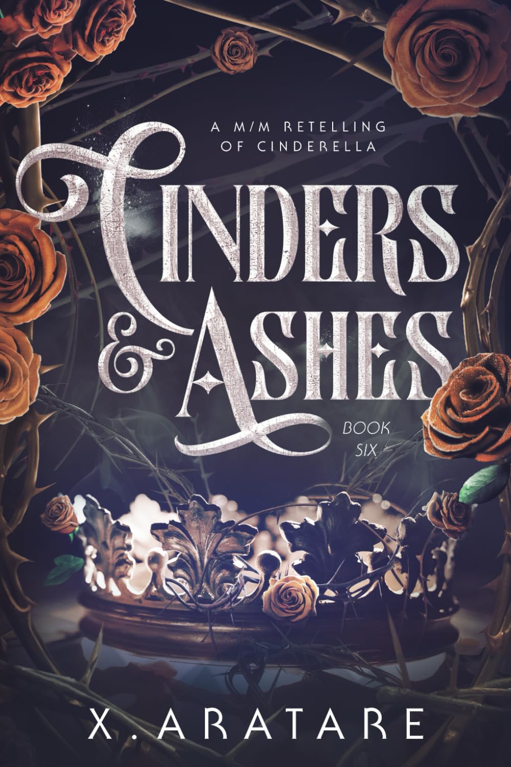 Cinders & Ashes Book 6: A Gay Retelling of Cinderella