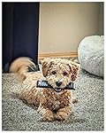 Review Image by Heather80528