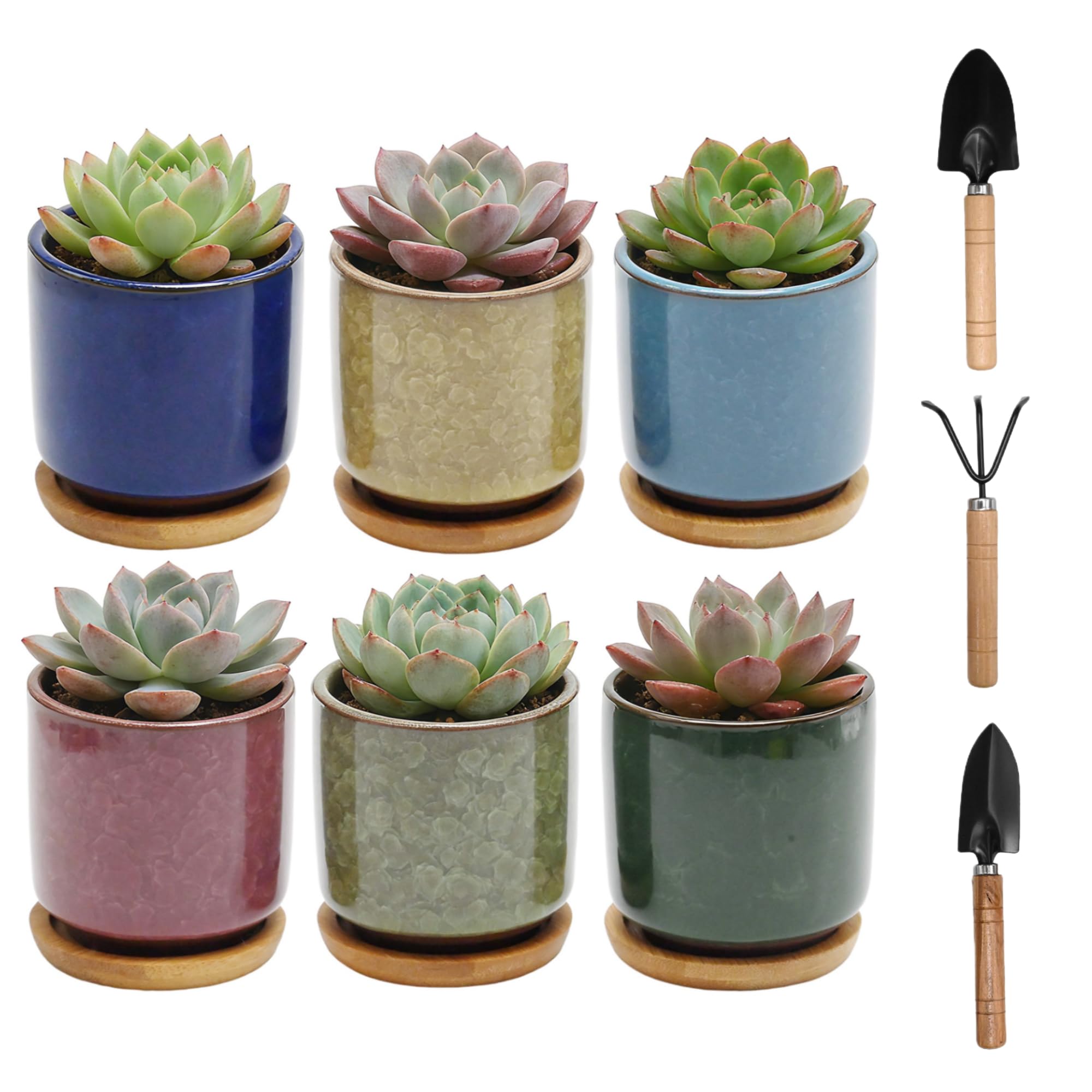 Pots de fleurs en céramique Hoypeyfiy : cadeau idéal avec mini récipient chic
