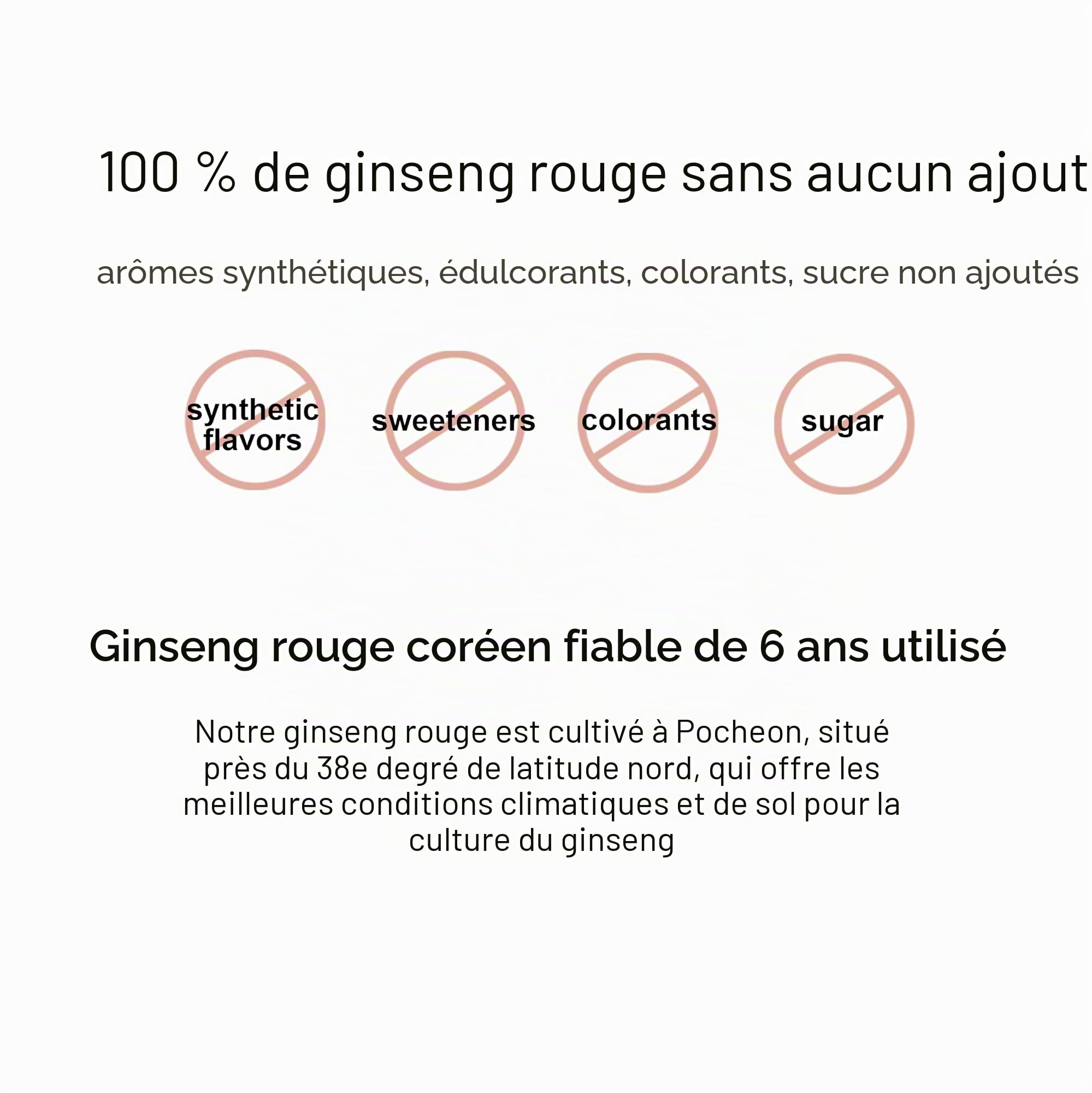 Pocheon 240g Gold Concentré Pur Extrait Coréen Ginseng Rouge 6 Ans D’âge, Top Ginsenoside, Panax Produit de Corée