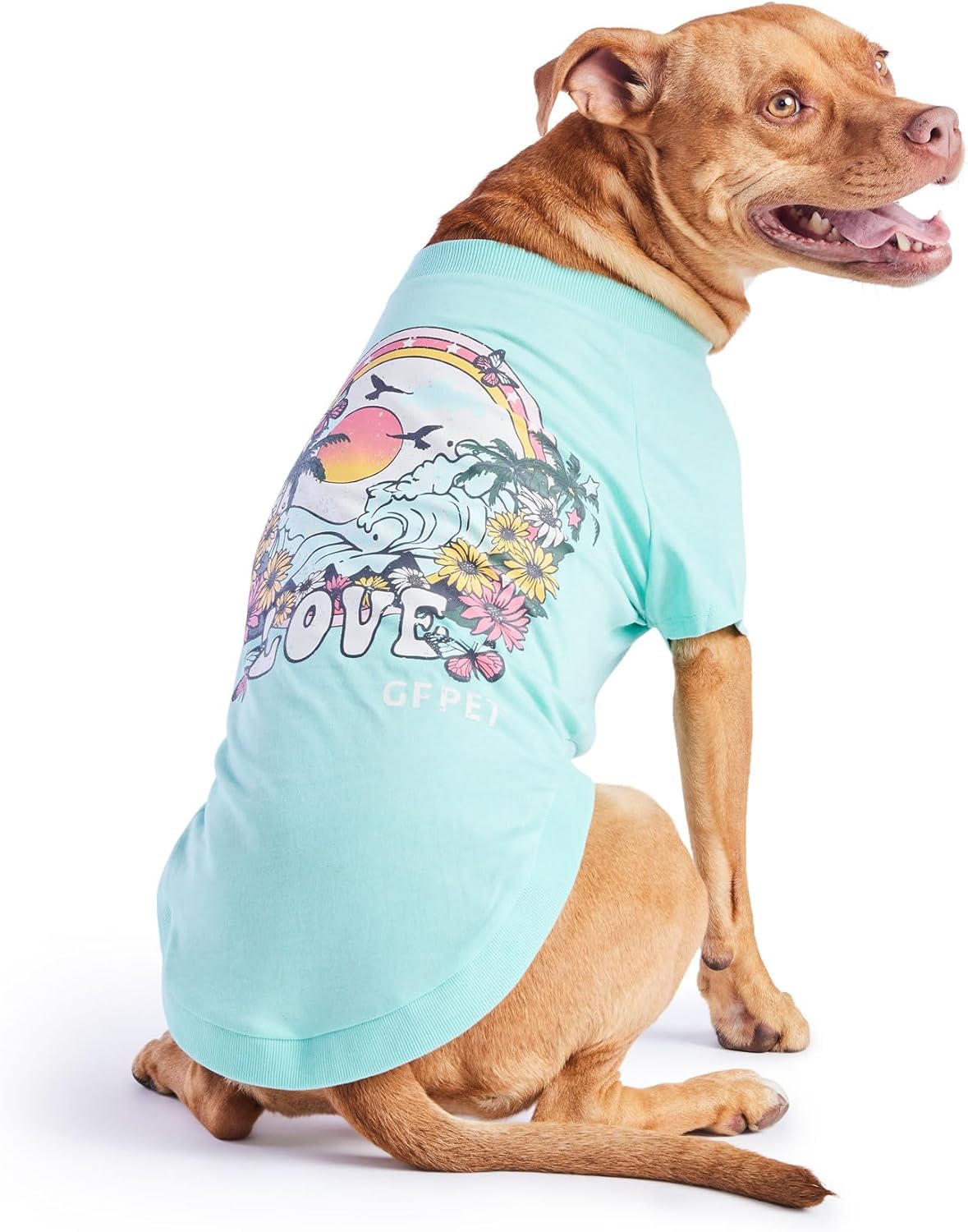 GF Pet - Graphic Tee Dog T-Shirt (Heather Grey, XX-Large)