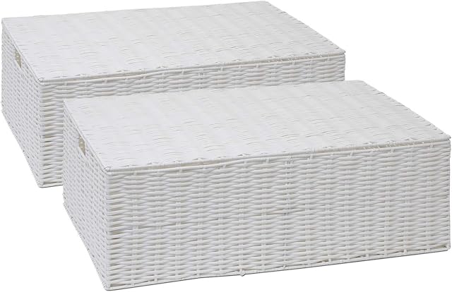 Arpan Resin Woven Under Bed Storage Box, Chest Shelf Toy Clothes Basket With Lid - White (Set of 2 - Large)