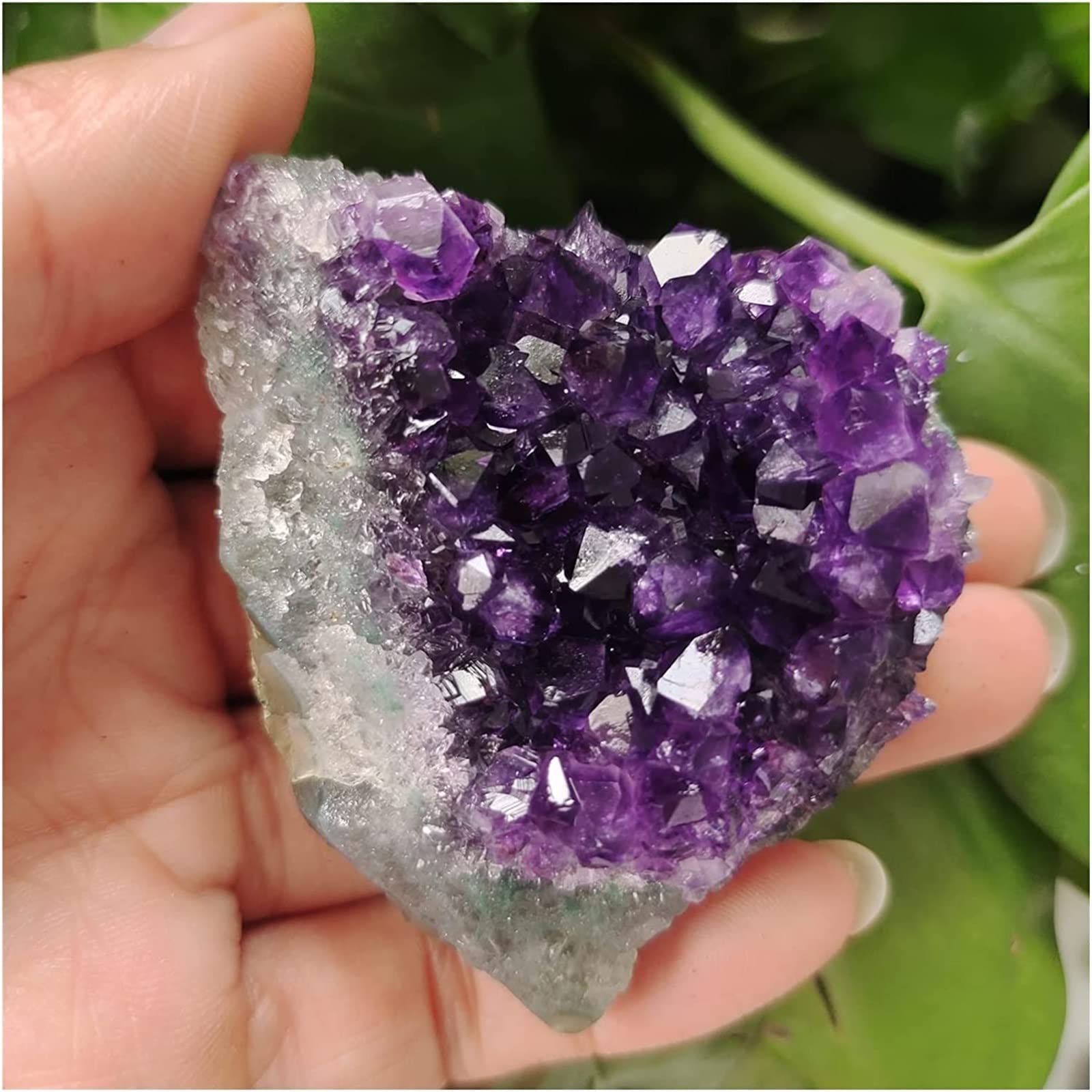 デラウェア(アメジスト) Amazon.com: PLKXSEYUJ Amethyst Rough Stone Uruguay Stone Amethyst