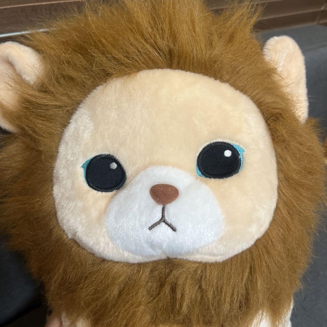 Amazon.co.jp: ぬいぐるみ＊ライオンになりきったねこちゃん＊おすわり