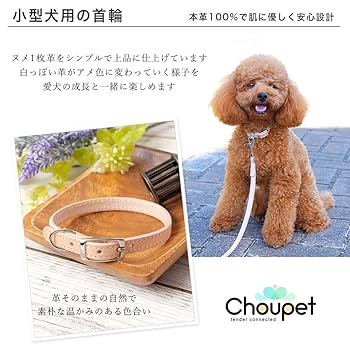 首輪 COLLAR（首輪）／デニム：Toto & Pal（トトアンドパル）公式通販