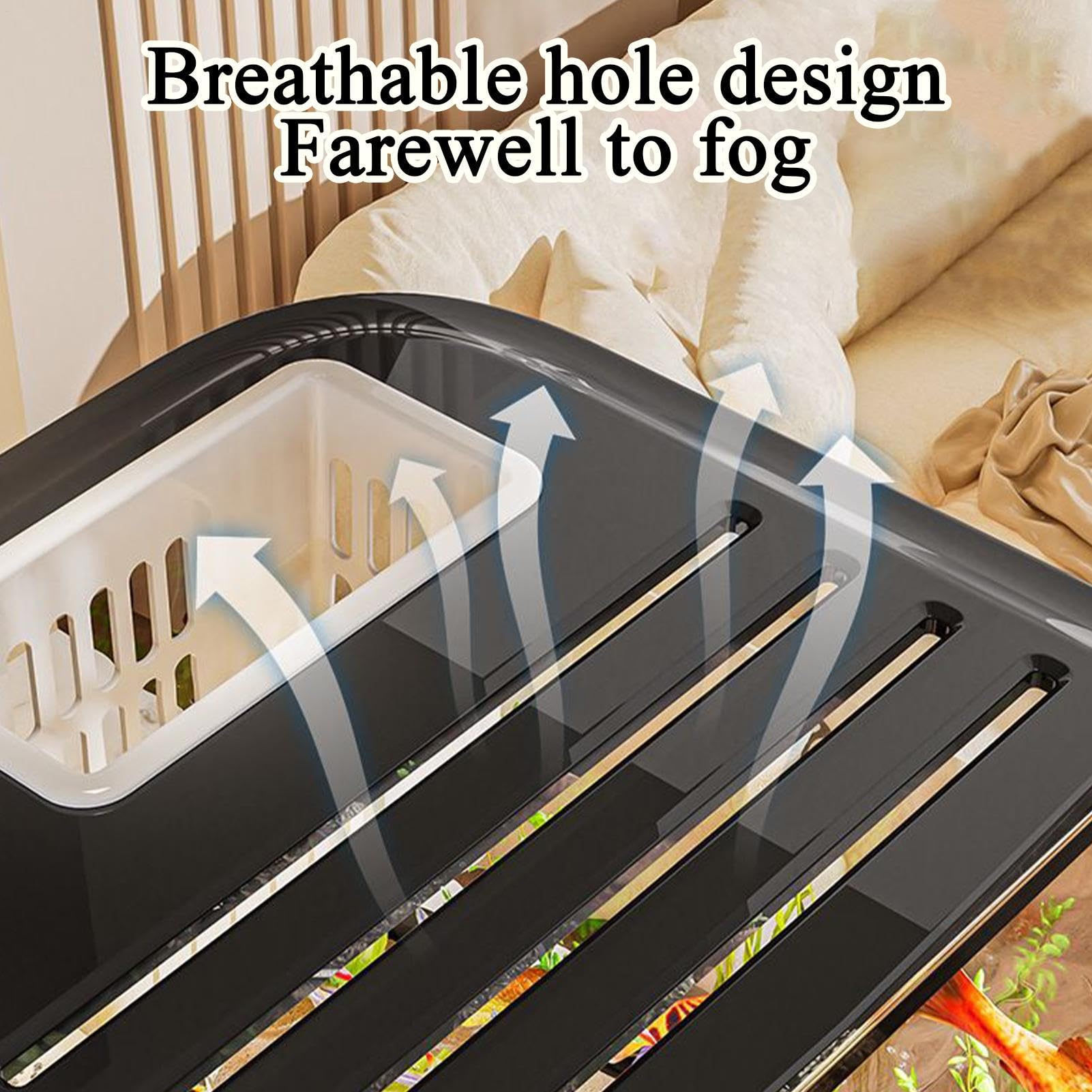 Kit Inicio Acuario Hábitat Contenedor Escaleras Orificios de Ventilación | Pecera Principiantes Escaleras Decoración Plantas Para Peces Agua Dulce Tortuga Camarón Vida Acuática