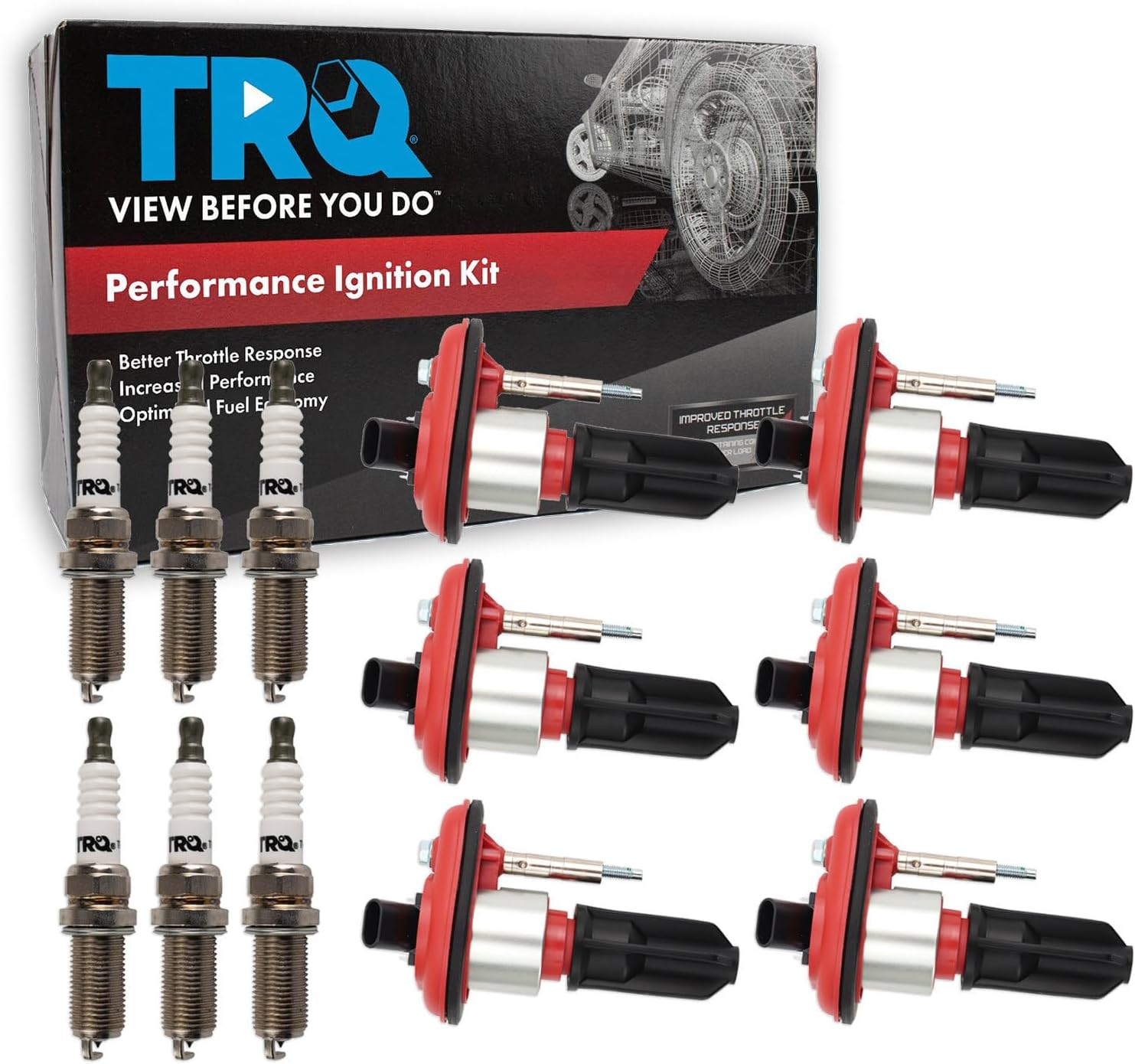 TRQ Ignition Coil & Spark Plug Kit 12 Piece Compatible with 2002-2005 Chevrolet Trailblazer 2004-2005 Buick Rainier Saab 9-7x 2002-2005 GMC Envoy 2003-2008 Isuzu Ascender 2002-2004 Oldsmobile Bravada