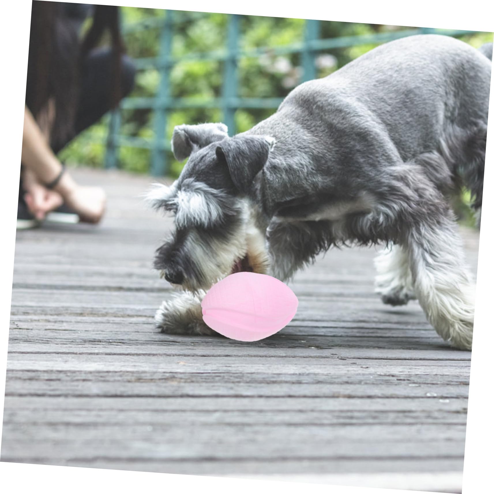 BESPORTBLE 5pièces Jouet à Mâcher pour Chien Balle De Dentition Flottante pour Entraînement Chiots Convient Aux Petits Moyens Et Chiens Divertissant Et
