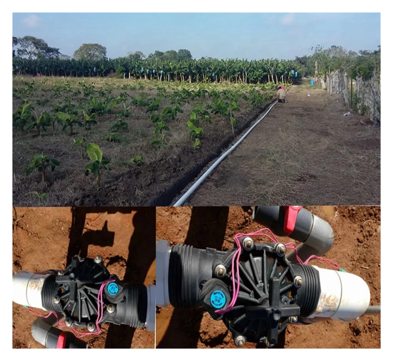 Hydrauliczny system nawadniania rolniczego 4 cali, 220 V, 24 V, 12 V, nawadnianie ogrodu, szklarnie, zawór elektromagnetyczny (24 VAC)