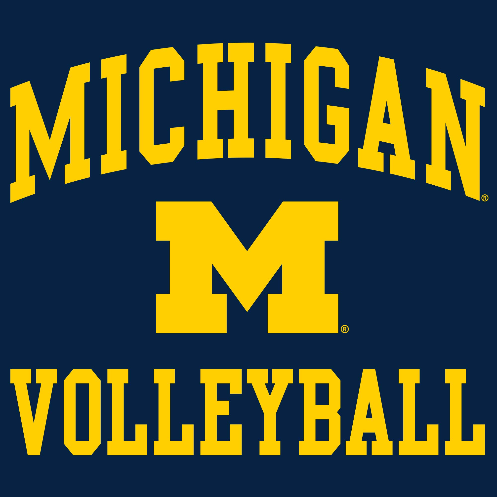 UGP Campus Apparel AH1116 - Michigan Wolverines Arch Logo Volleyball Hoodie - Small - Navy