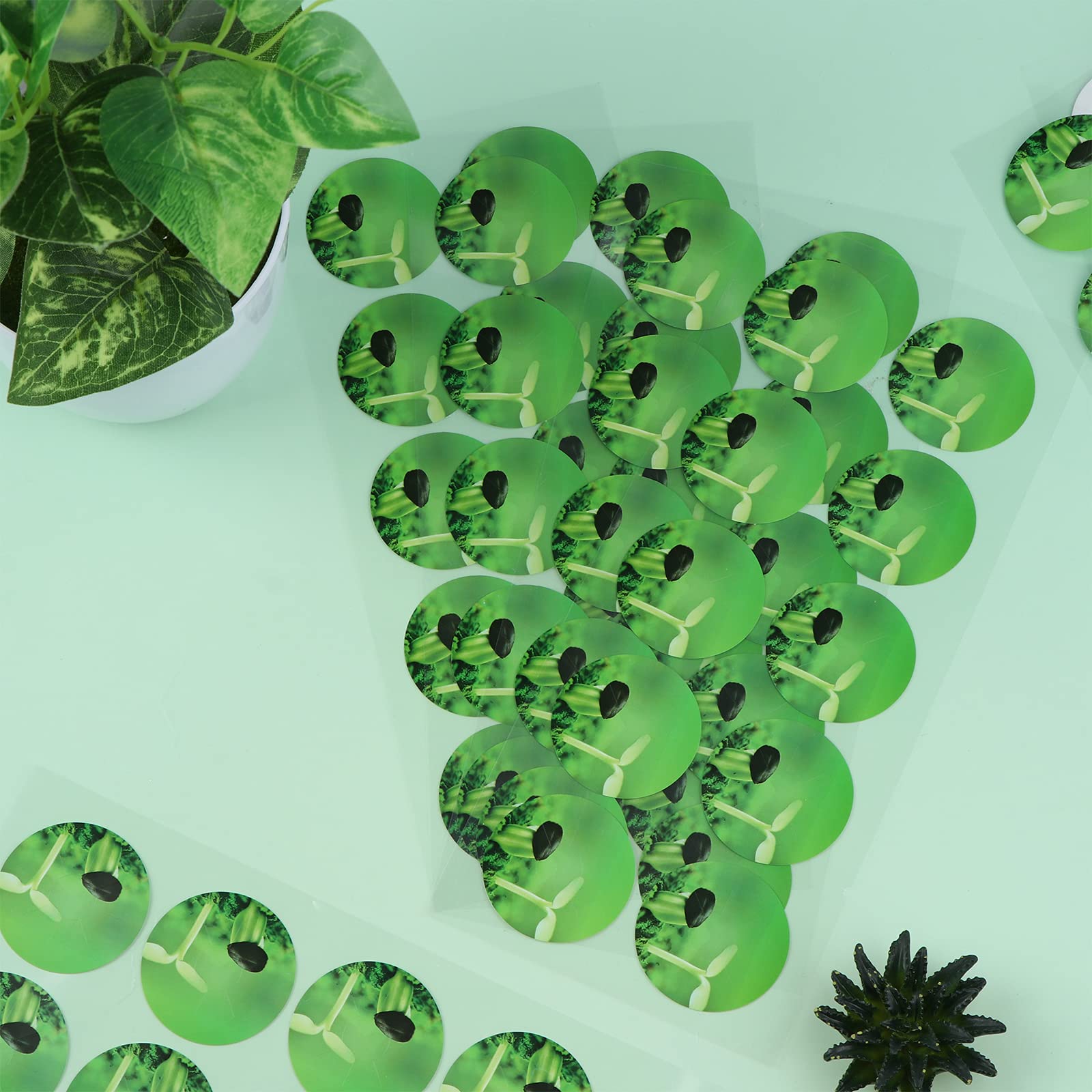 Buy PartyYeah 200 Pieces Seed Pot Labels, PVC Seed Pot Labels Sticker