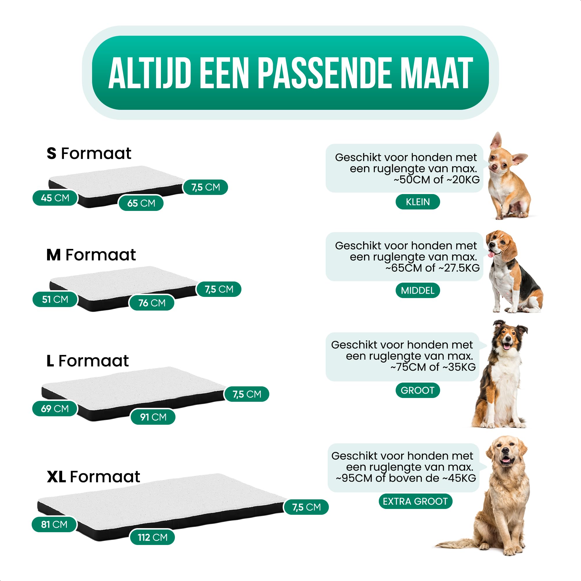 Avalo Coussin Chien Orthopédique L - 91x69 cm - Lavable/Mousse à Mémoire de Forme/Antidérapant - Panier Chien Orthopédique