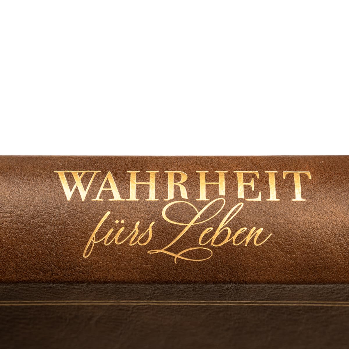 Wahrheit fürs Leben: Band 1