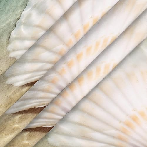 Vista 243 de cfpolar Mantel redondo ajustable de verano, hojas de palma tropical, borde elástico, mantel redondo lavable para uso en interiores y exteriores, se