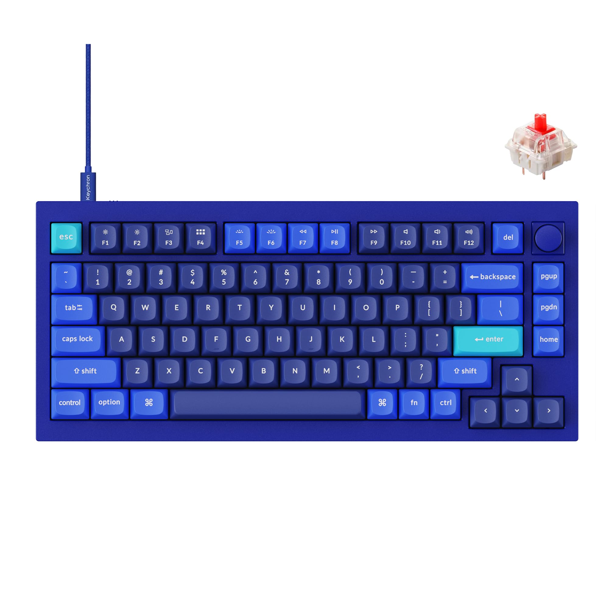 Amazon.com: Keychron Q1 RGB Wired Custom Mechanical Keyboard Knob