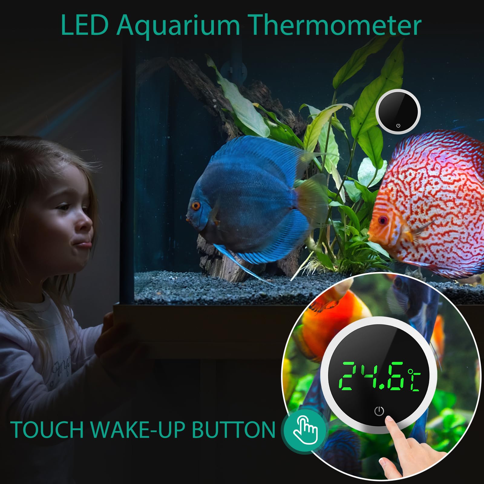 Superfish Digi Thermo, digitale thermometer - voor de mooiste