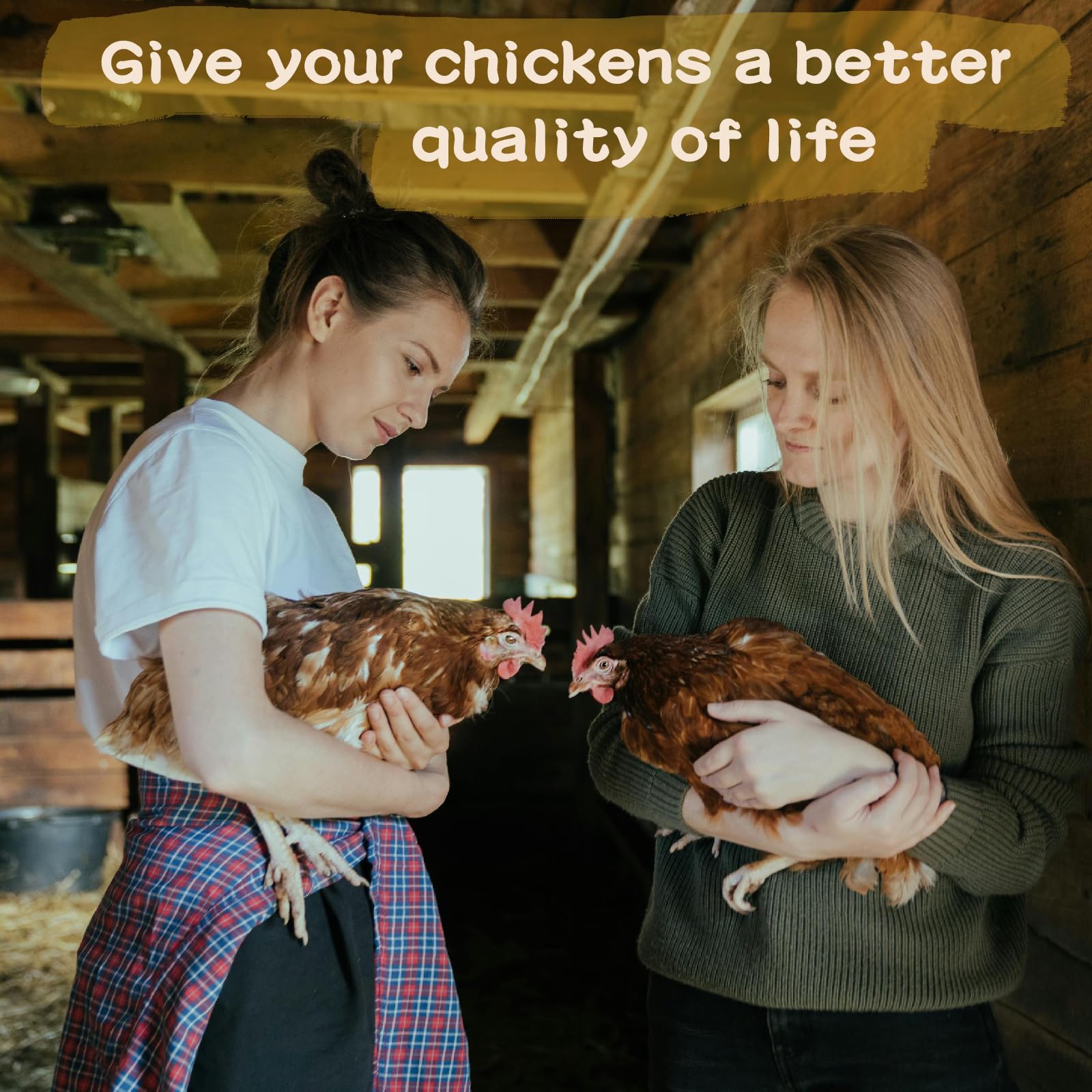 Hierbas para gallinas anidantes, hierbas para gallinas anidantes en gallineros, mezcla de 1 libra para la salud de las gallinas, cama de gallinero, producción de huevos y