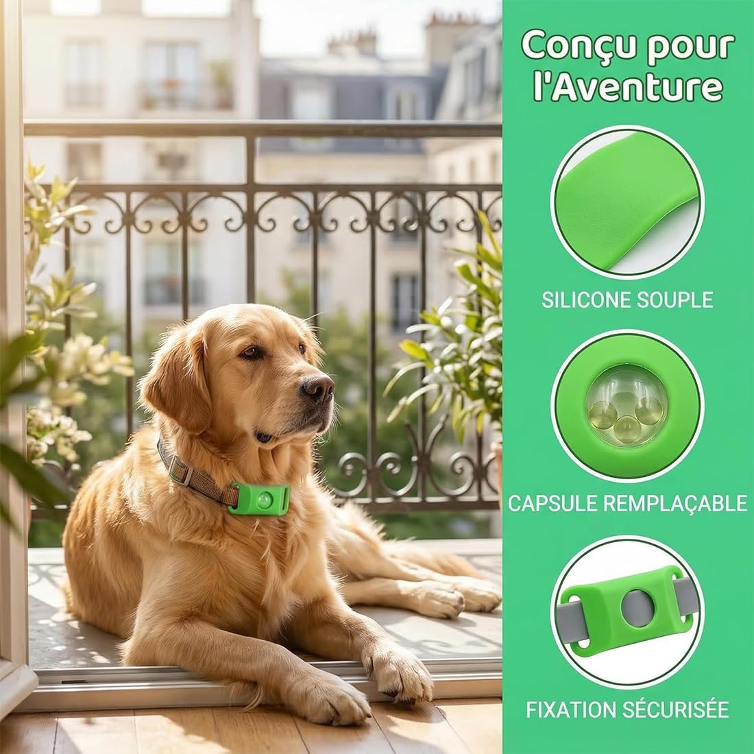 Collier répulsif Anti-puces et tiques pour Animaux, Protection Naturelle 12 Mois pour Chiens, 4 Capsules Remplaçables, Réglable, sans Contact Direct avec la Peau (F)
