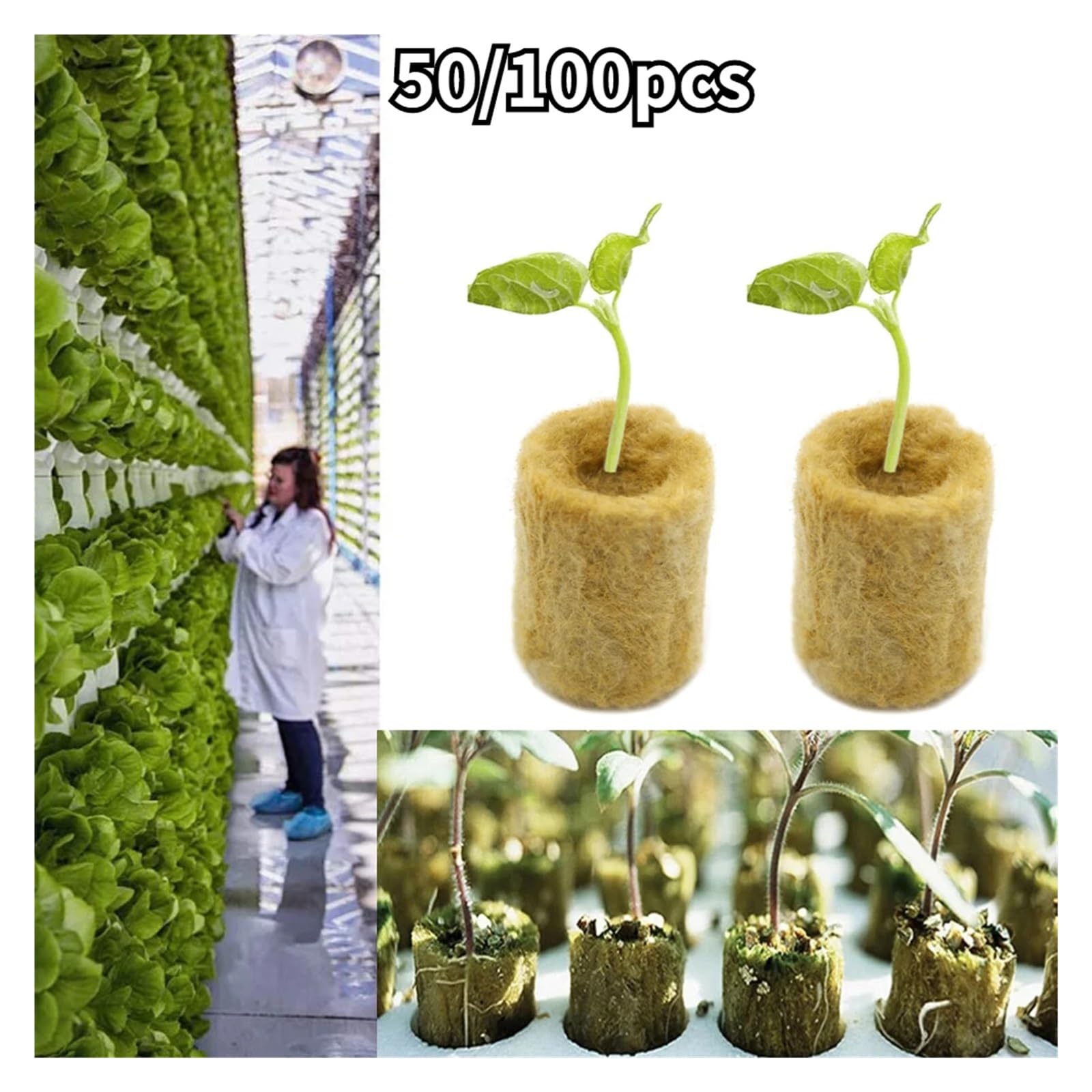 Kostki do uprawy roślin z wełny， 50/100 sztuk Gąbka do sadzenia, nasiona, sadzonki, wtyczka do uprawy(50pcs)