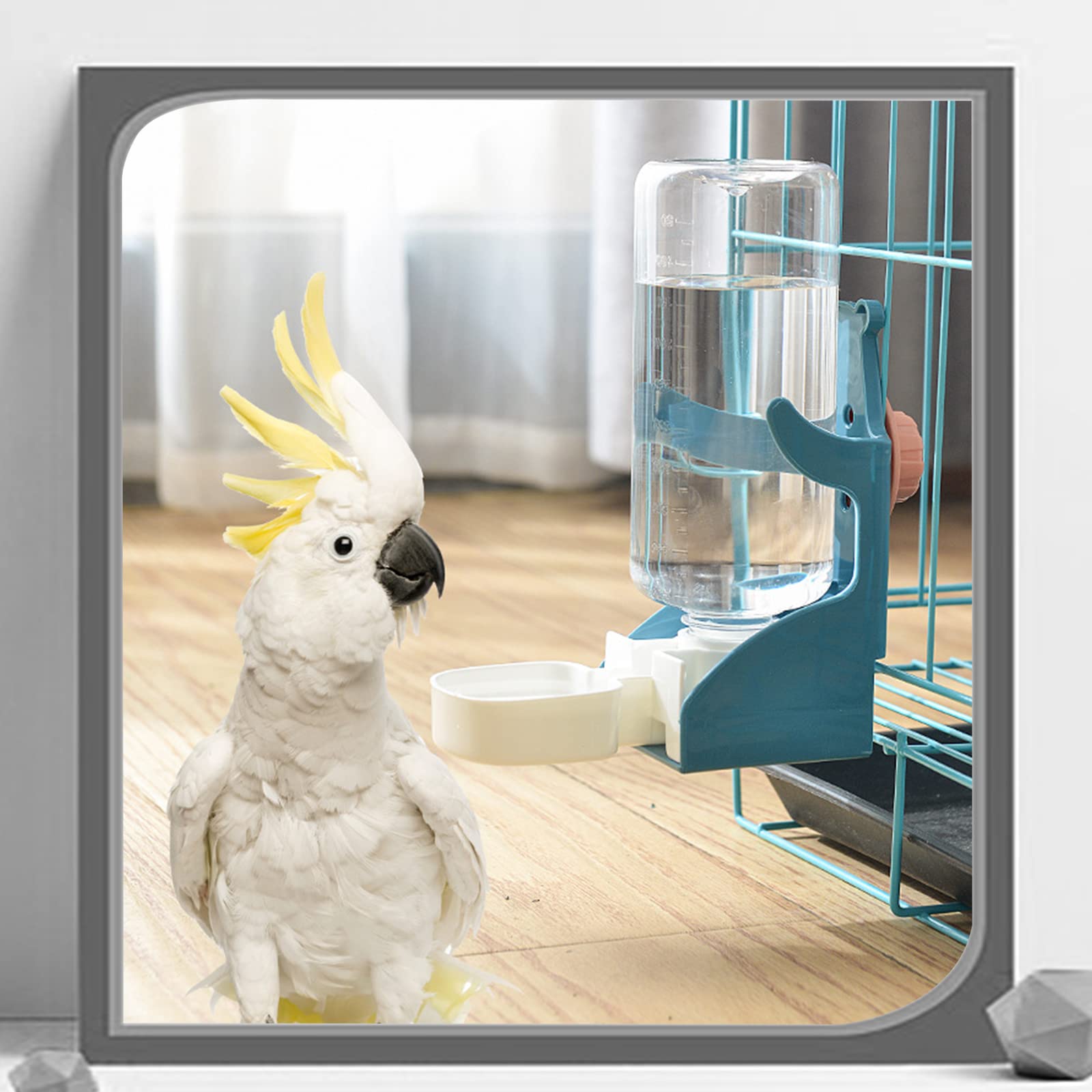 Distributeur d'eau pour Petits Animaux - Chats Et Chiens De Nourriture Oiseaux Suspension d'animaux Domestiques Distributeurs Automatique Lapins Chinchillas Hamsters 1 PièCe