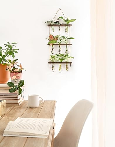 Miniatura 34 de Mkono Tubos de propagación de plantas, terrario colgante de pared de 3 niveles con soporte de madera, mini tubo de ensayo, florero de flores, Marrón