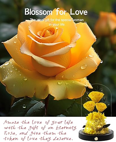 Miniatura 10 de Regalos de rosas de flores para mamá, rosas preservadas reales para siempre en cúpula de cristal, día de la madre para esposa, novia, mujer, mejor