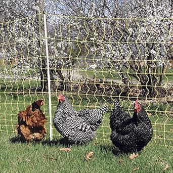 Premier Enhanced 42 Electric Poultry Net Fence Yellow 12 42 3ey Amazon In Garden Outdoors Premier Enhanced 42 Electric Poultry Net Fence Yellow 12 42 3ey Amazon In Garden Outdoors