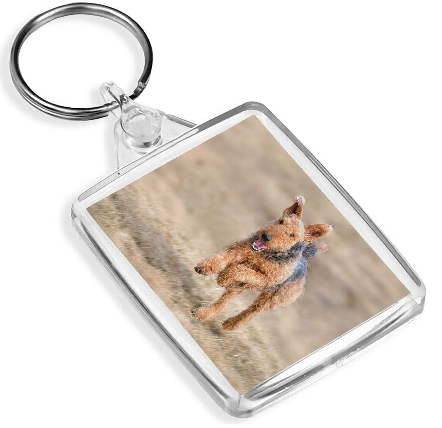 Destination Vinyl Keyrings Unisex Multi Airedale Terrier Keyring Dog Puppy Yorkshire Cute Keyring #12469