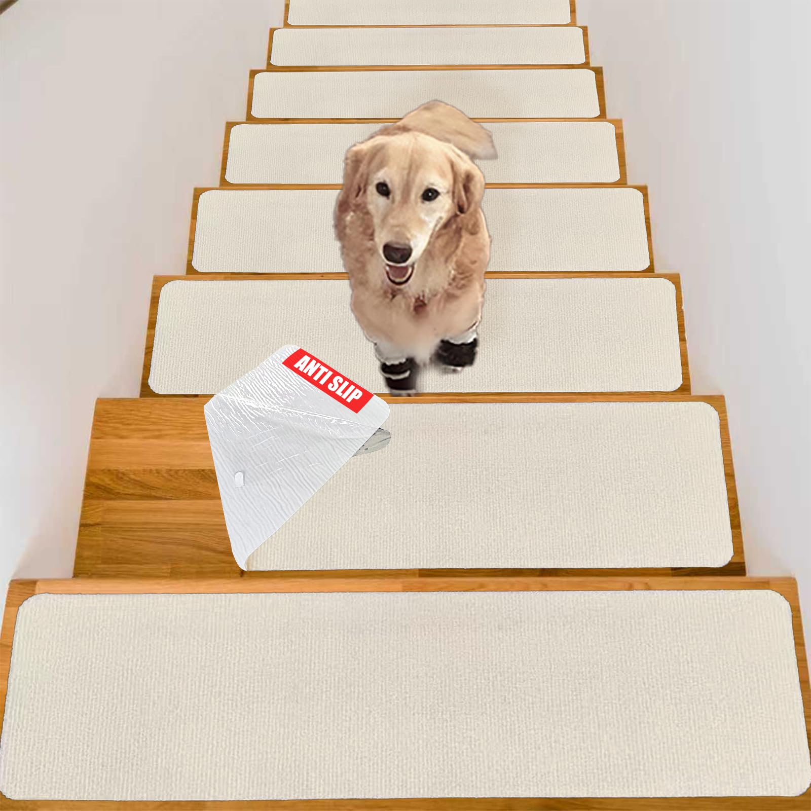 Unleash Your Inner Auction Warrior.