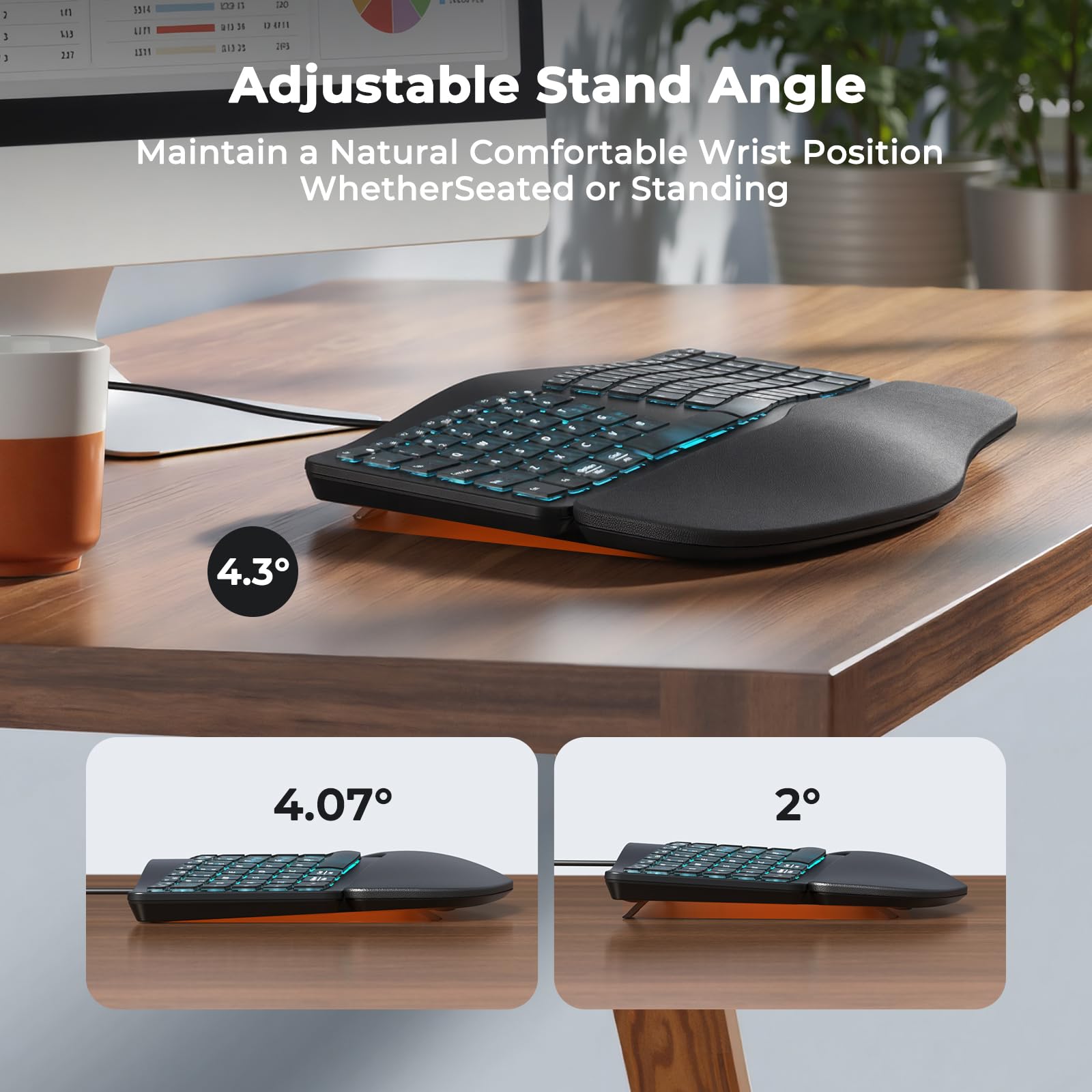 MEETION Tastiera ergonomica cablata, retroilluminazione trasparente a 7 colori, 4 luminosità, 1 retroilluminazione RGB respiratoria, cuscino poggiapolsi, adattatore USB-A/USB-C, tastiera Ergo per