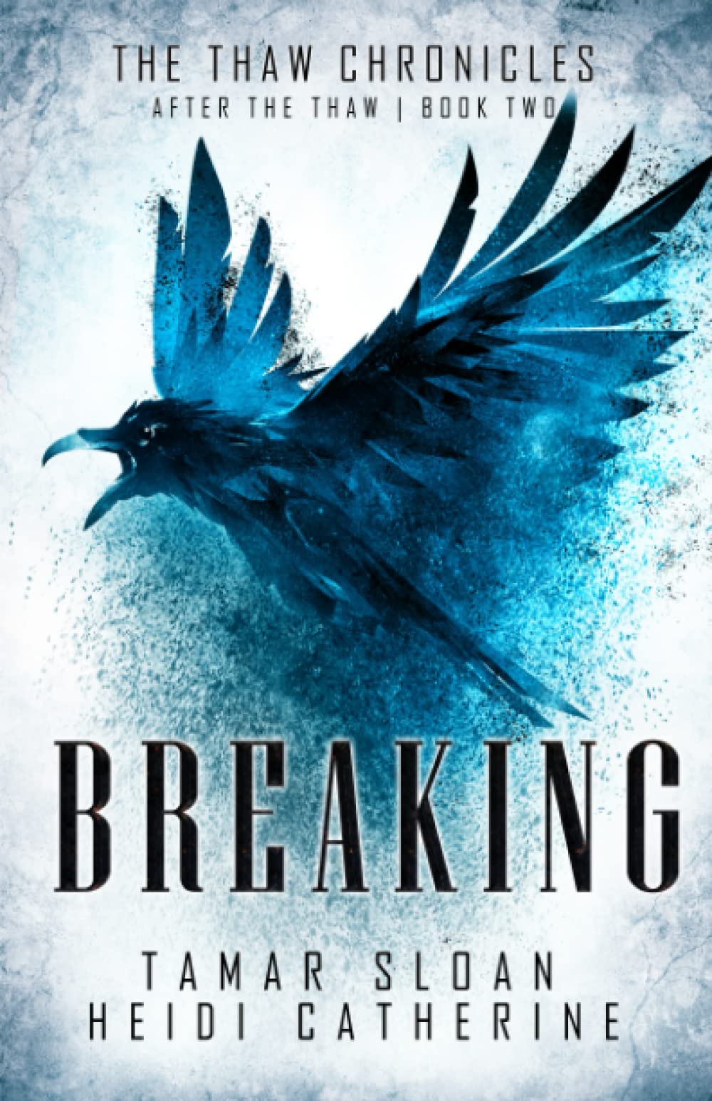 Cover of Breaking