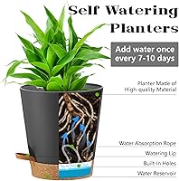 Vista 2 de Macetas de autoriego, macetas para plantas de interior, macetas para plantar flores en interiores para plantas de casa, violeta africana, flores