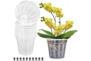 8 Pack Clear Plastic Orchid Pots with Drainage Holes and Clips for...