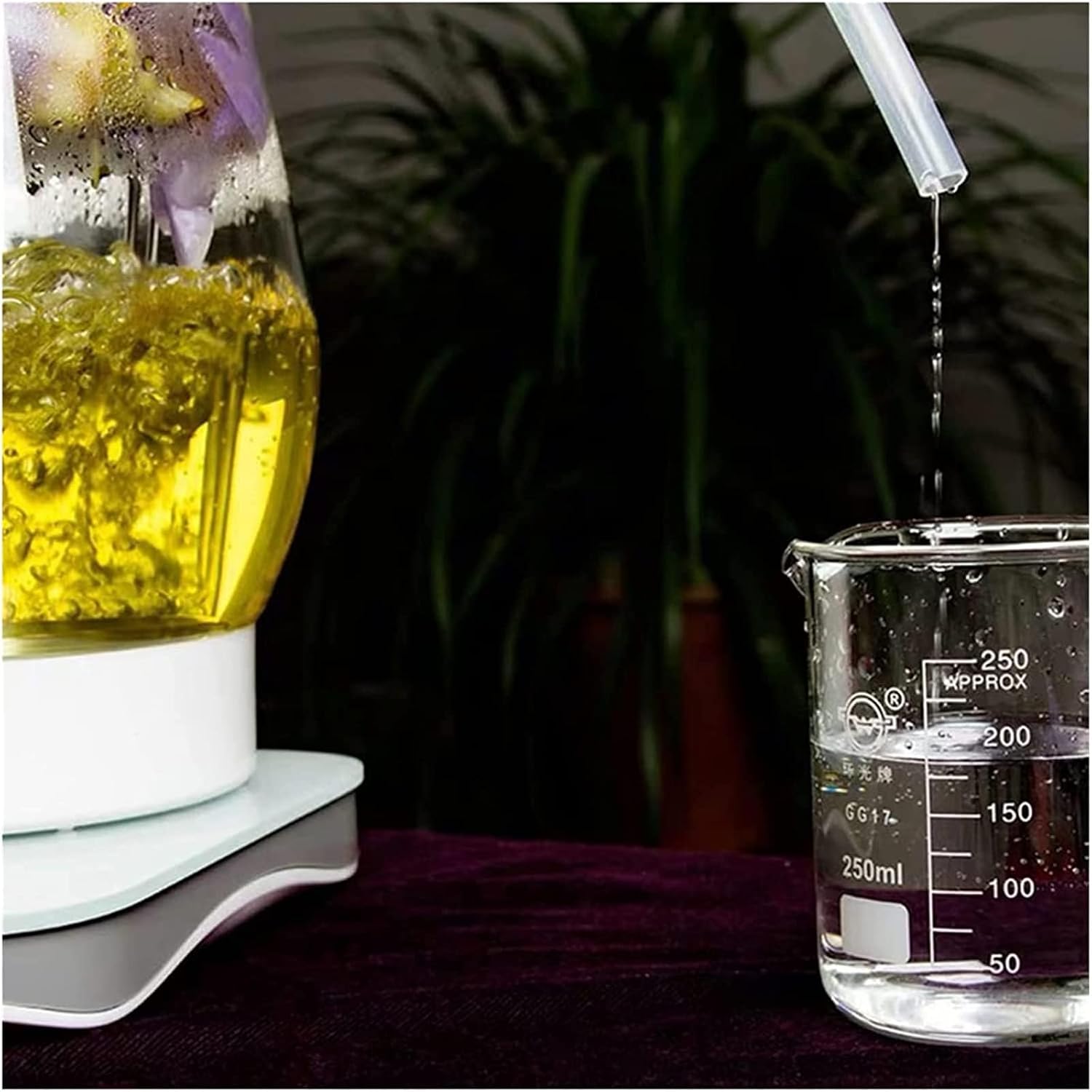 COYEUX 2.5L Glass Water Distiller, Production of Distilled Water, for Pure Dew, Wine, Chinese Herbal Medicine Distillation Equipment