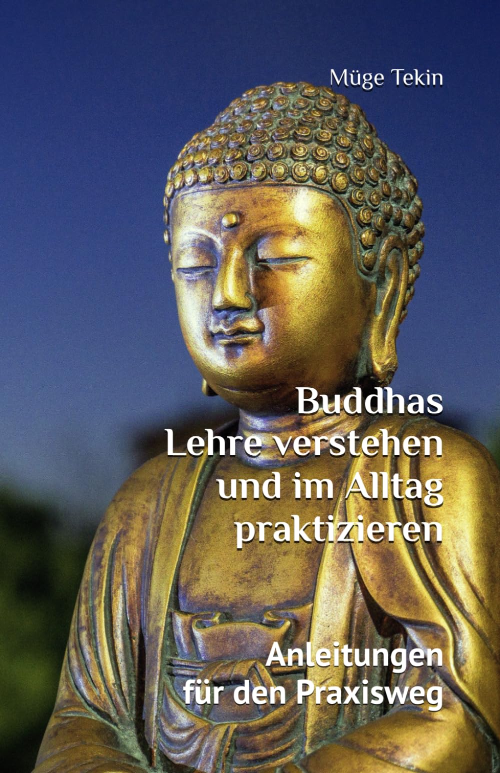 Buddhas Lehre verstehen und im Alltag praktizieren: Anleitungen für den Praxisweg