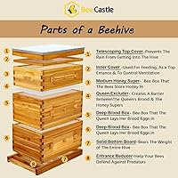 Vista 3 de BeeCastle Colmena Langstroth de 10 marcos con ventanas, colmena de abejas recubierta con cera de abejas para principiantes con marcos de colmena