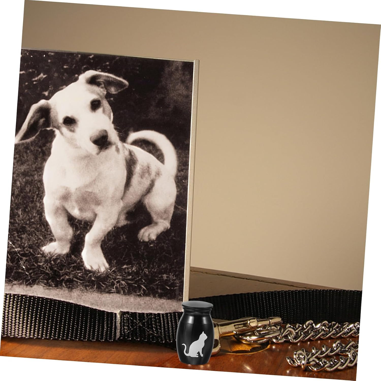 ORFOFE Miniature Alloy Pet Urn for Ashes Cremation Keepsake Container for Dog Cat Memorial Portable Dark-Colored Ashes Holder for Loss Pets Practical Funeral Keepsake