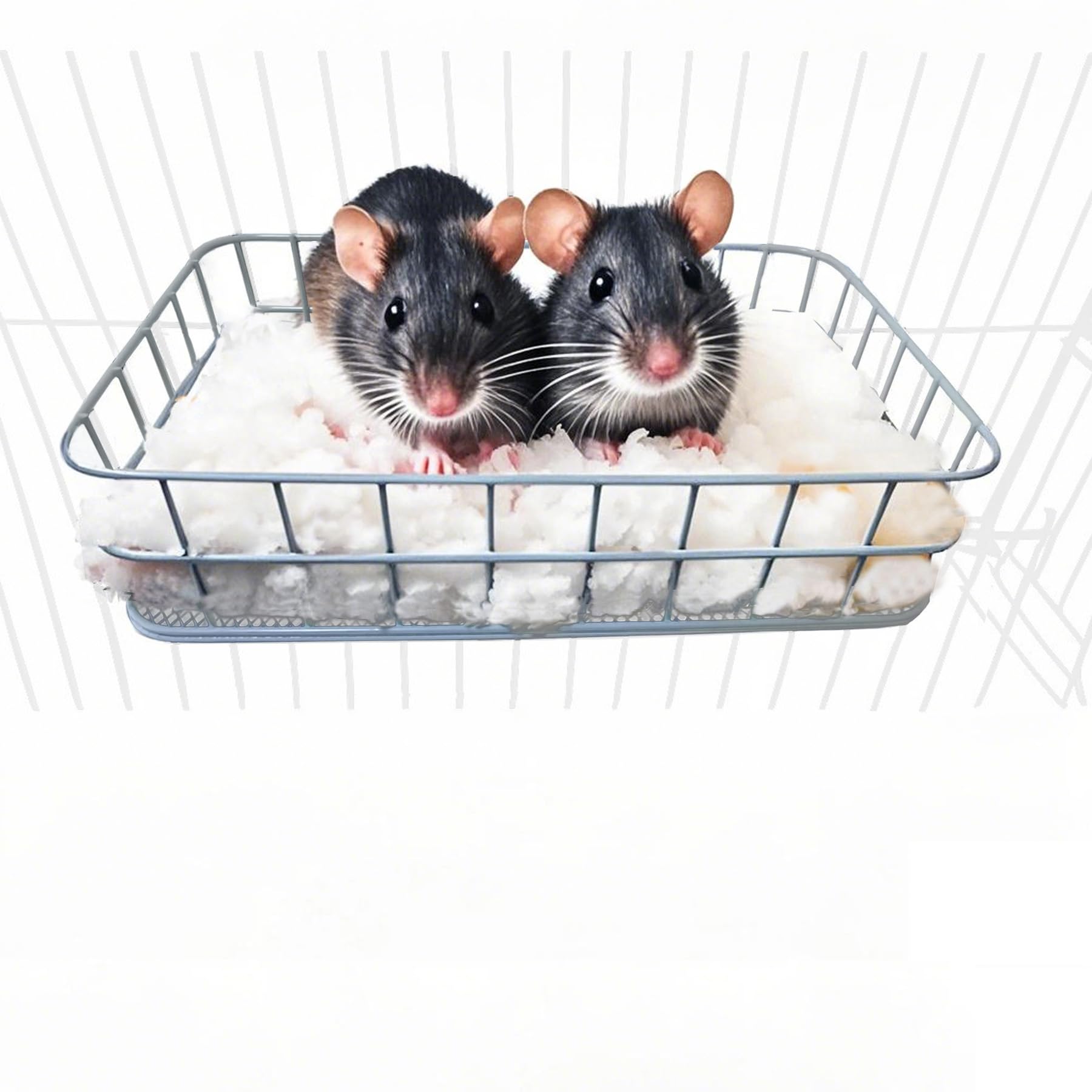 ratsバングル サイズM ラッツ rats バングル RATS ID BRACELET