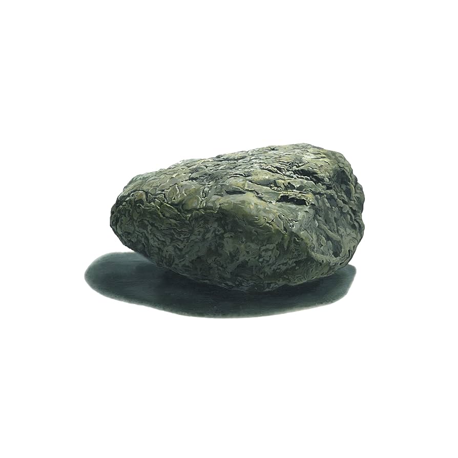 家主「石のような自由」新品未使用 田中ヤコブ Amazon.co.jp: 石のような自由: ミュージック