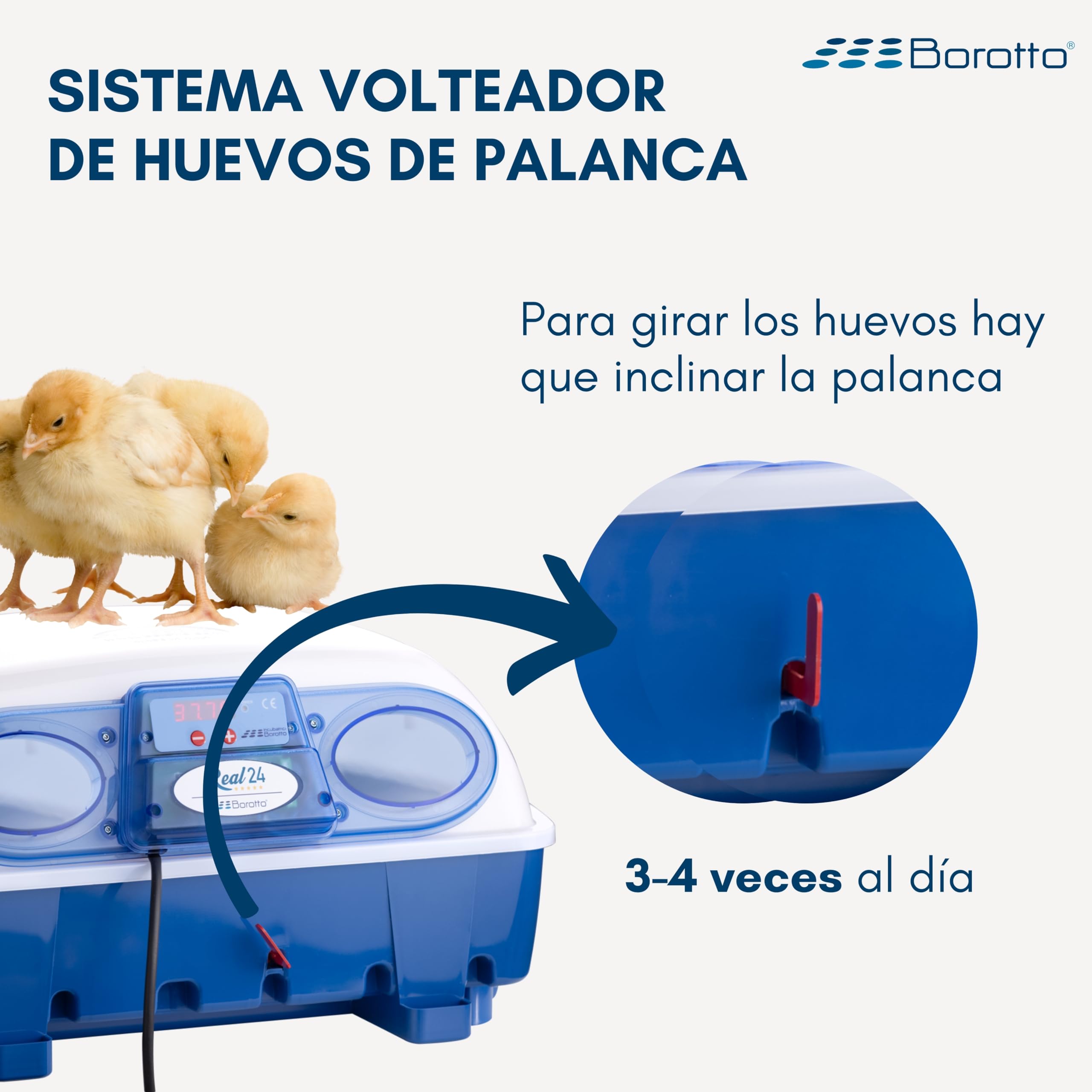 Borotto Real 24 Semi Automática | Incubadora de Huevos Profesional Patentada para 24 Huevos o 96 Pequeños con Volteador de Huevos con Palanca y Control de Temperatura | Made in Italy