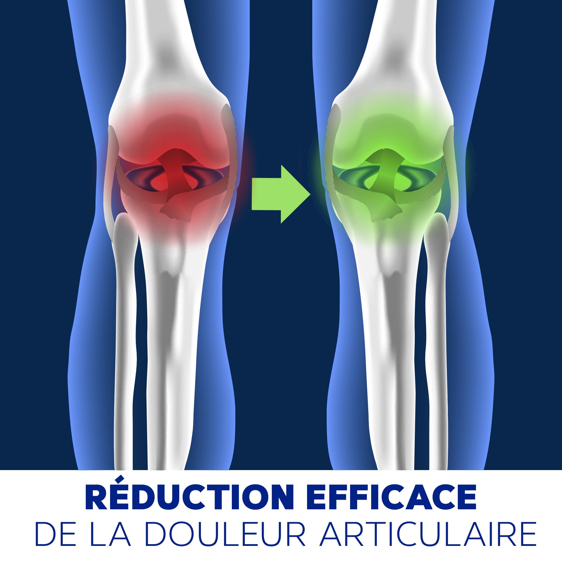 Collagene Marin Poudre 275g | Peptan Collagen Peptides (5g) Collagene Magnesium, Ovomet et Silicium Organique | Complément Alimentaire Articulation Flexi Essence Pure| Api-Nature
