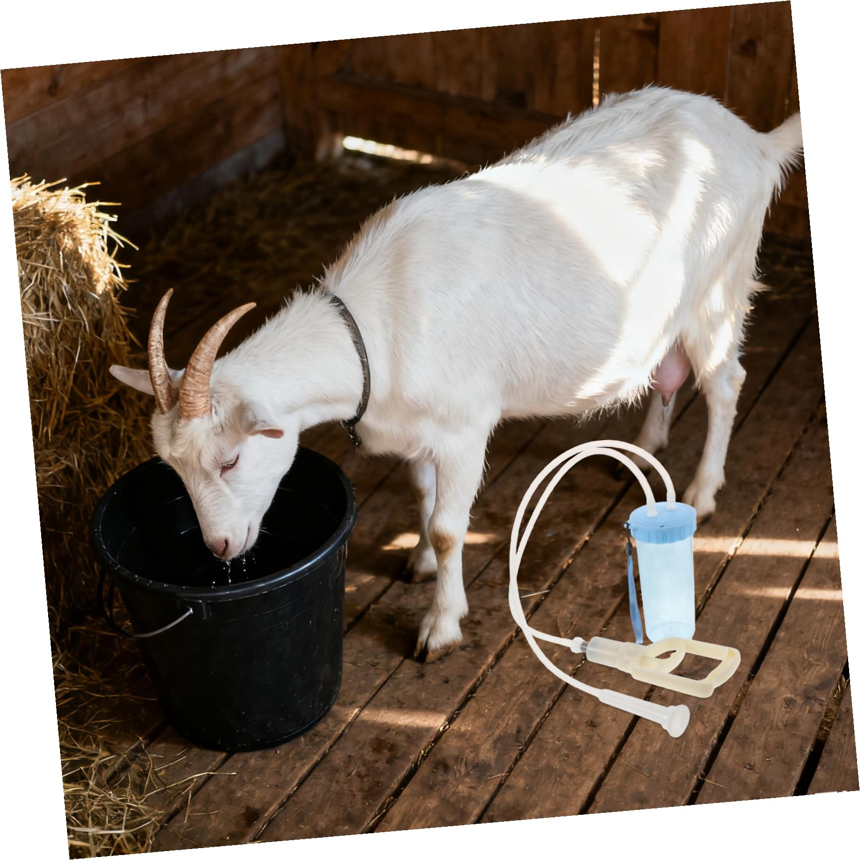 Toyvian Machine à Traire Manuelle pour Chèvres et Brebis Pièces Détachées et Accessoires pour Matériel de Traite Portable et Collecte de Lait Rapide