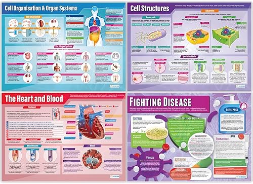 Miniatura 3 de Daydream Education Pósteres de ciencias educativas de biología  Juego de 13 pósteres de biología  Extra Grande 33 x 23 pulgadas de papel brillante