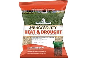 Jonathan Green Black Beauty Heat & Drought Resistant Grass Seed