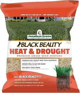 Jonathan Green Black Beauty Heat & Drought Grass Seed - Cool Season Tall Fescue & Texas Bluegrass, 3 lb for Sunny Lawns