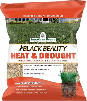 Jonathan Green 10514 Black Beauty Heat & Drought Resistant Grass Seed - Cool Season Lawn Seed 3 lb