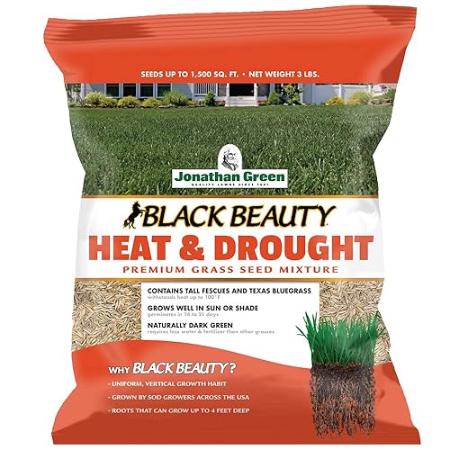 Jonathan Green (10514) Black Beauty Heat & Drought Resistant Grass