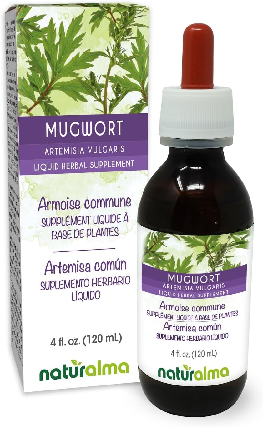 Naturalma Mugwort (Artemisia vulgaris) herb with Flowers Alcohol-Free Tincture - 4 fl oz Liquid Extract in Drops - Herbal Supplement - Vegan