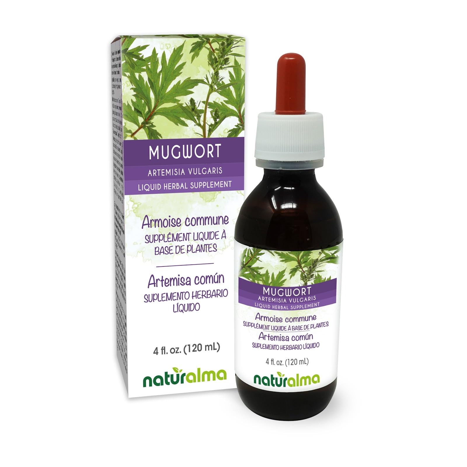 Naturalma Mugwort (Artemisia vulgaris) herb with Flowers Alcohol-Free Tincture - 4 fl oz Liquid Extract in Drops - Herbal Supplement - Vegan 4 Fl Oz (Pack of 1)