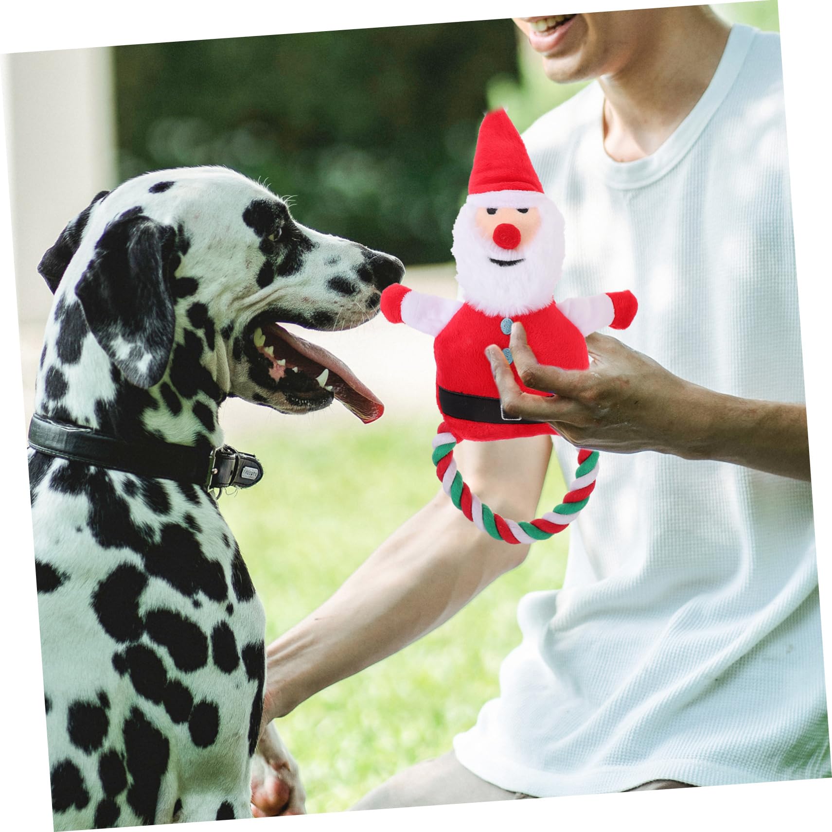 Supvox 5stücke Pet Molar Toy Weihnachtsmann Plüschspielzeug Quietschendes Kauspielzeug Für Hunde Und Interaktives Und Strapazierfähiges Kau Und Spielzeug Für Entspannte Spielzeiten